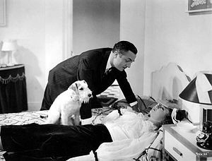 William Powell, Myrna Loy and Skippy (as Asta) in The Thin Man.