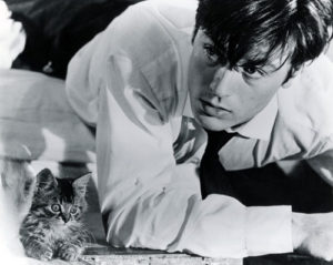 Alain Delon in Rene Clement's Joy House aka Love Cage (1964). 