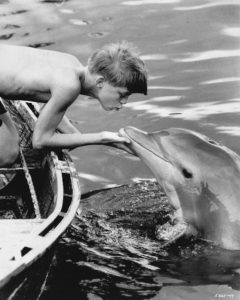 Luke Halpin in Flipper (1963).