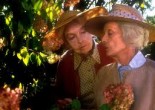 The Whales of August ***** (1987, Bette Davis, Lillian Gish, Vincent Price, Ann Sothern) – Classic Movie Review 125