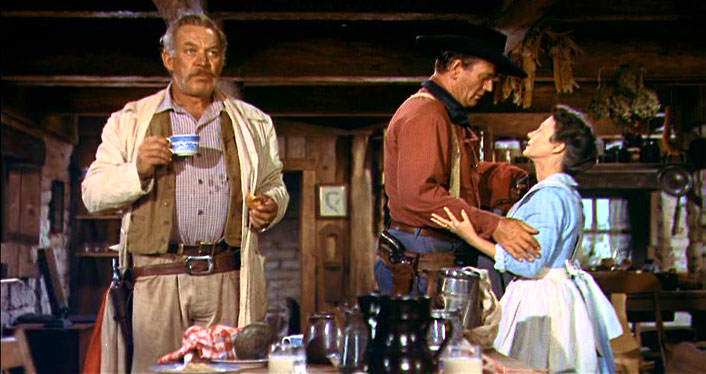 The Searchers ***** (1956, John Wayne, Jeffrey Hunter, Vera Miles