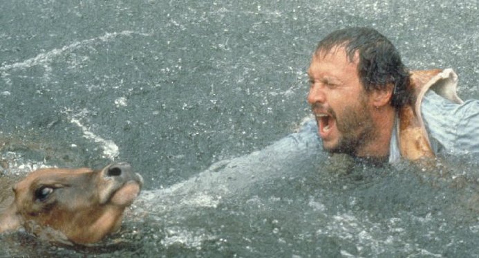 City Slickers **** (1991, Billy Crystal, Jack Palance, Daniel Stern